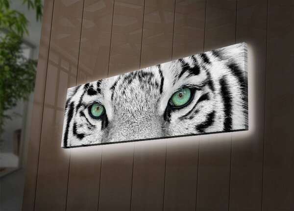 ASIR Obraz na plátne s LED podsvietením BIELY TIGER 30 cm