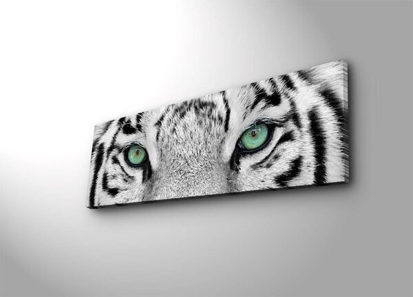 ASIR Obraz na plátne s LED podsvietením BIELY TIGER 30 cm