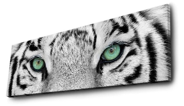 ASIR Obraz na plátne s LED podsvietením BIELY TIGER 30 cm