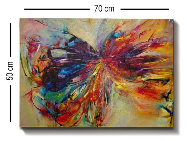 ASIR Obraz na plátne MOTýL 50 cm