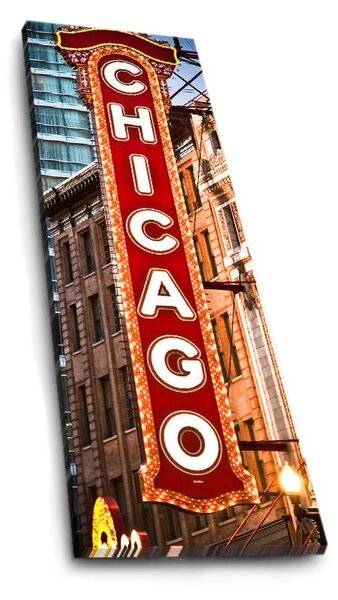 ASIR Obraz na plátne CHICAGO s LED podsvietením 30 cm