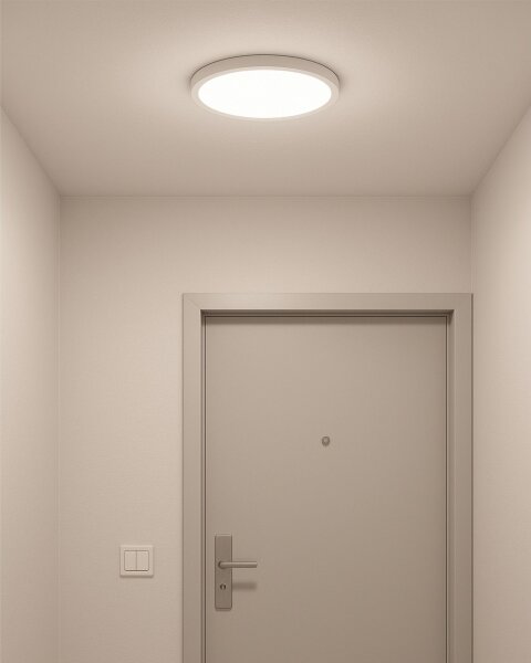 LED stropné svietidlo LED/24W/230V 3000/4000/6500K pr. 30 cm biela