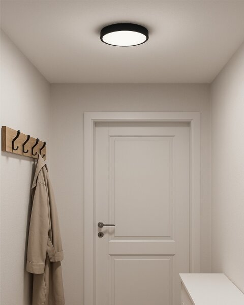 LED stropné svietidlo LED/24W/230V 3000/4000/6500K pr. 30 cm čierna