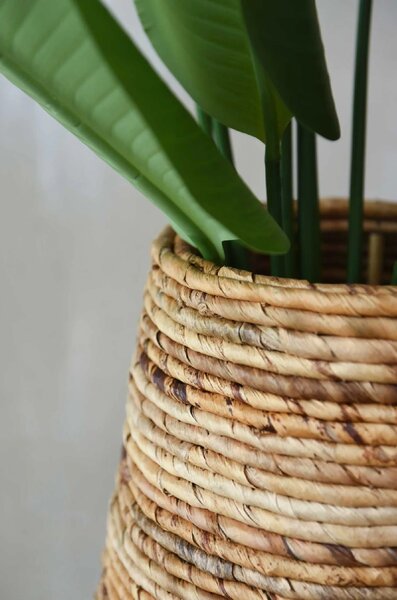 Izbový kvetináč ROTA, vodní hyacint, průměr 46 cm, natur