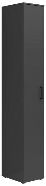VIACÚČELOVÁ SKRIŇA, grafitová, 30/195/40 cm Carryhome - Skrine do chodby