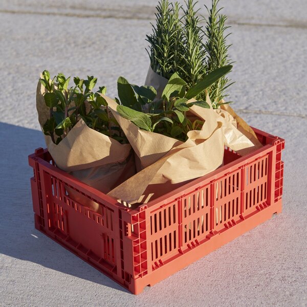 Úložný box Colour Crate, Small, Electric Blue – HAY