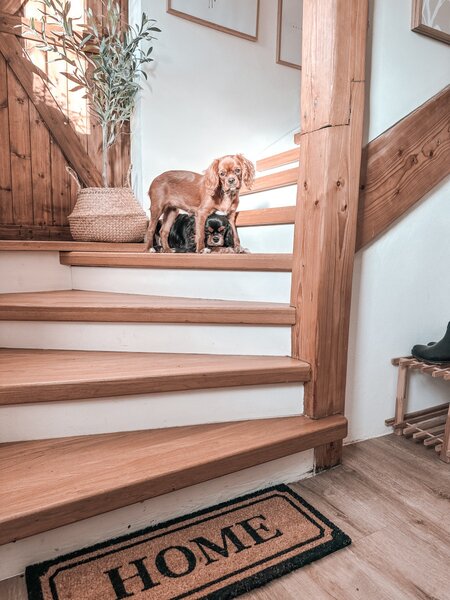 Hanse Home , Rohožka Home kokos 105678 – na von aj na doma, 27x70, hnedá, chodba / predsieň