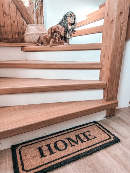 Hanse Home , Rohožka Home kokos 105678 – na von aj na doma, 27x70, hnedá, chodba / predsieň