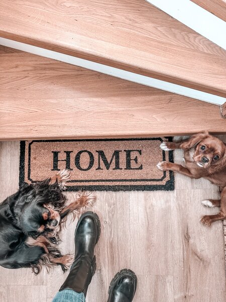 Hanse Home , Rohožka Home kokos 105678 – na von aj na doma, 27x70, hnedá, chodba / predsieň