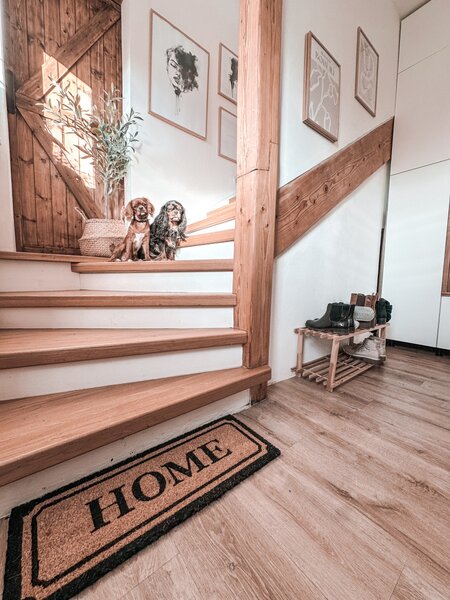 Hanse Home , Rohožka Home kokos 105678 – na von aj na doma, 27x70, hnedá, chodba / predsieň