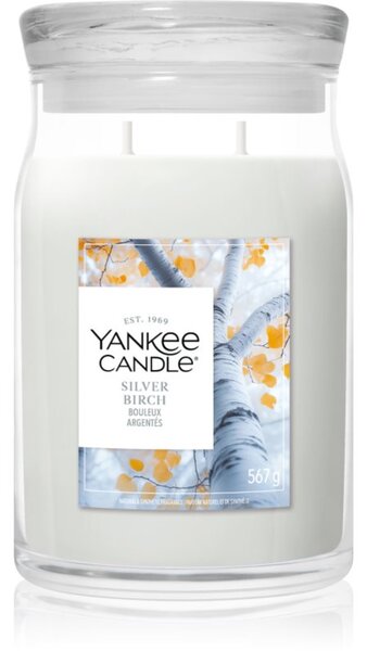 Yankee Candle Silver Birch vonná sviečka 567 g