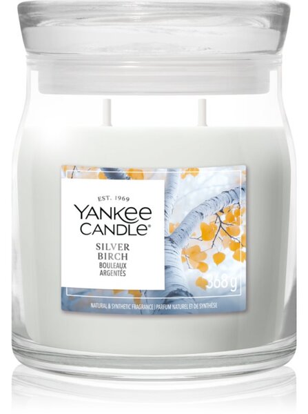 Yankee Candle Silver Birch vonná sviečka 368 g