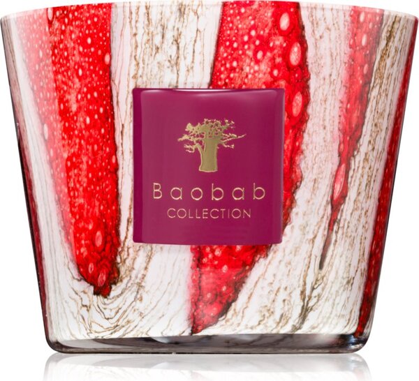 Baobab Collection Woods Risoud vonná sviečka 500 g