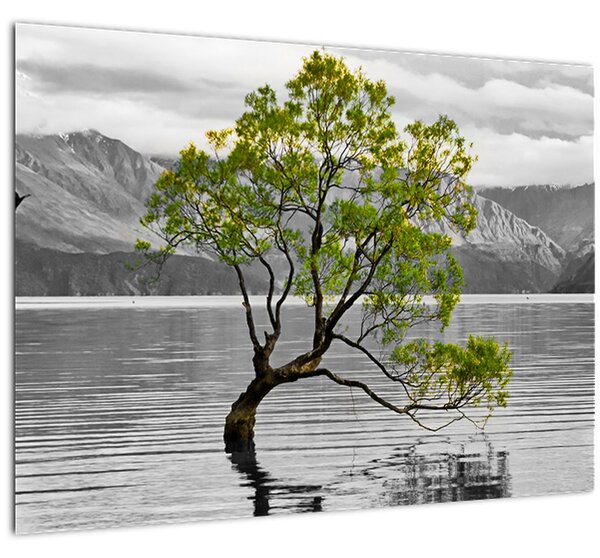 Sklenený obraz stromu uprostred jazera (70x50 cm)