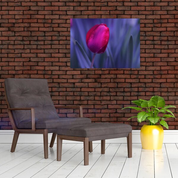 Sklenený obraz pupete tulipánu (70x50 cm)