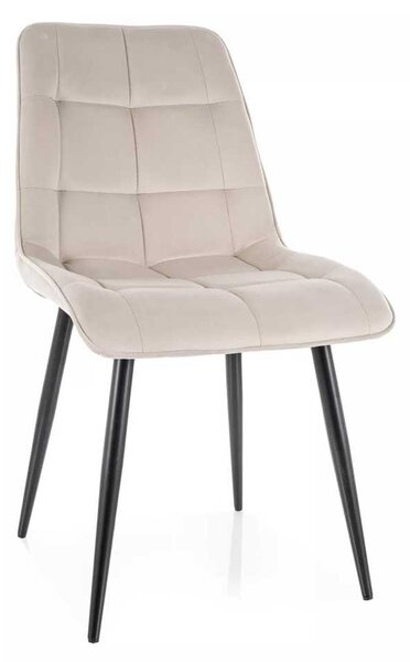 Jedálenská stolička Chic Velvet, krémová / čierna