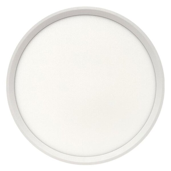 LED stropné svietidlo LED/24W/230V 3000/4000/6500K pr. 30 cm biela