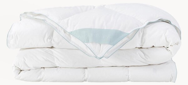 Páperový paplón Comfort, celoročný