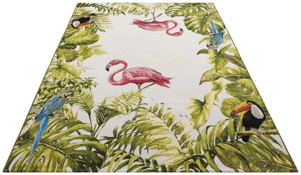 Hanse Home , Kusový koberec Flair 105616 Tropical Birds Multicolored – na von aj na doma, 200x285, viacfarebná, chodba / predsieň