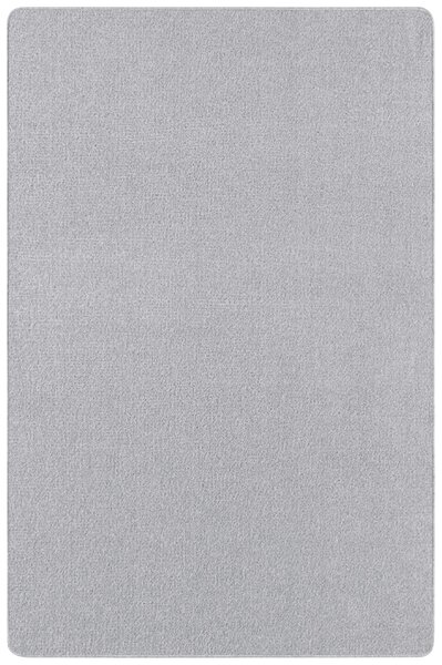 Hanse Home Collection koberce Kusový koberec Nasty 101595 Silber - 67x120 cm