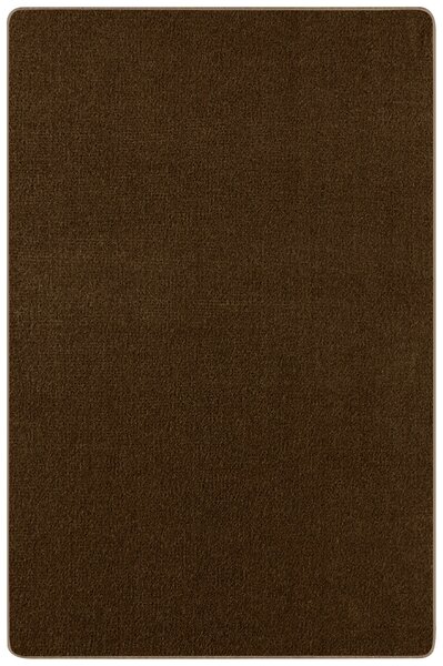 Hanse Home Collection koberce Kusový koberec Nasty 101154 Braun - 80x150 cm