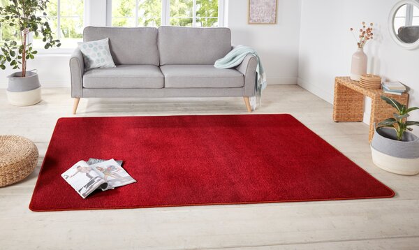 Hanse Home , Kusový koberec Nasty 101151 Rot, 67x120, červená, chodba / predsieň