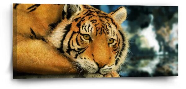 Sablio Obraz tiger - 110x50 cm