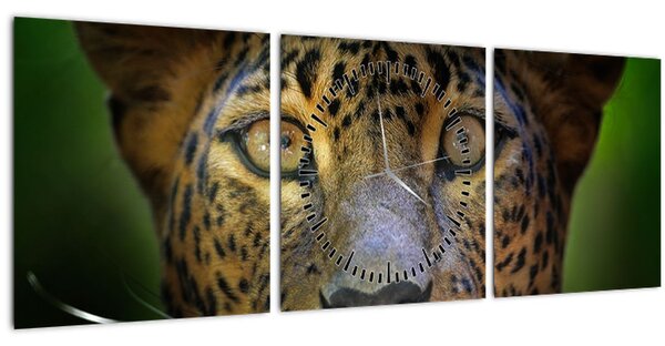 Obraz - Portrét leoparda, Sri Lanka (s hodinami) (90x30 cm)