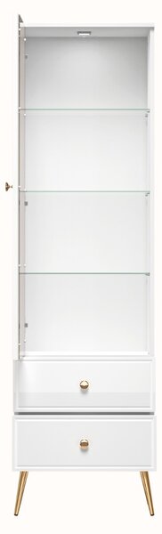 VITRÍNA BELLINI BIELY VYSOKÝ LESK 55 cm LED