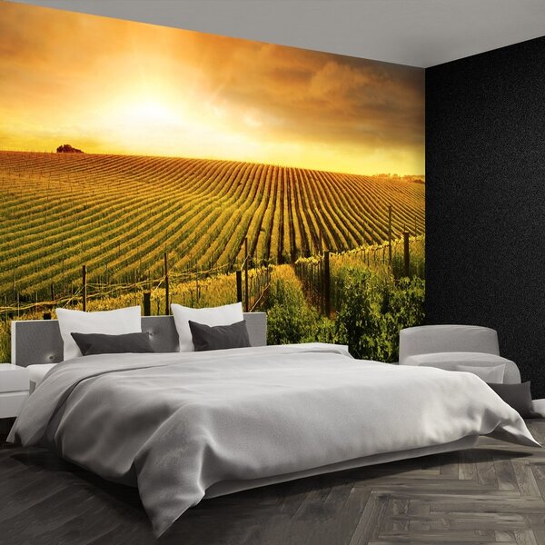 Fototapeta Vliesová Vinice 104x70 cm