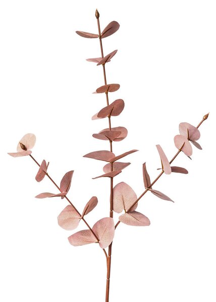 DEKORAČNÁ VETVIČKA eukalyptus 68 cm - Kvetinové dekorácie