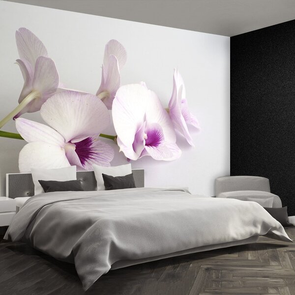 Fototapeta Vliesová Biele orchidey 104x70 cm