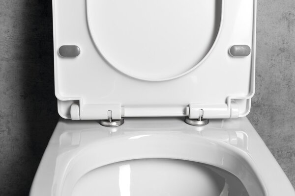 Aqualine Aqualine, VERMET WC sedátko, Soft Close, biela, VRS008