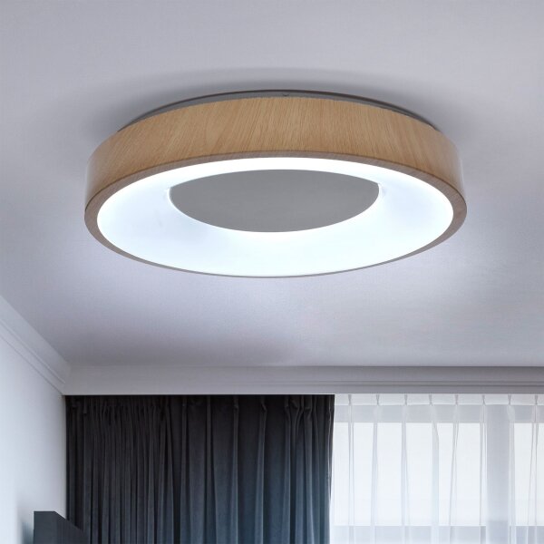 Brilagi - LED Stmievateľné stropné svietidlo DORIA LED/48W/230V 3000-6500K + DO