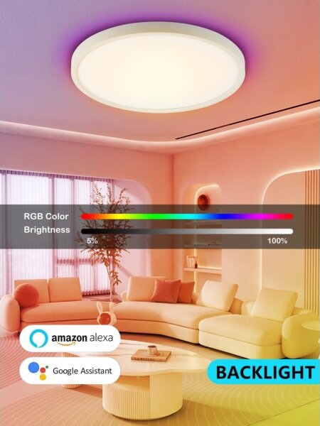 Immax NEO 07169-W60 - LED RGB Stmievateľné svietidlo TUDO 65W/230V Wi-Fi Tuya + DO