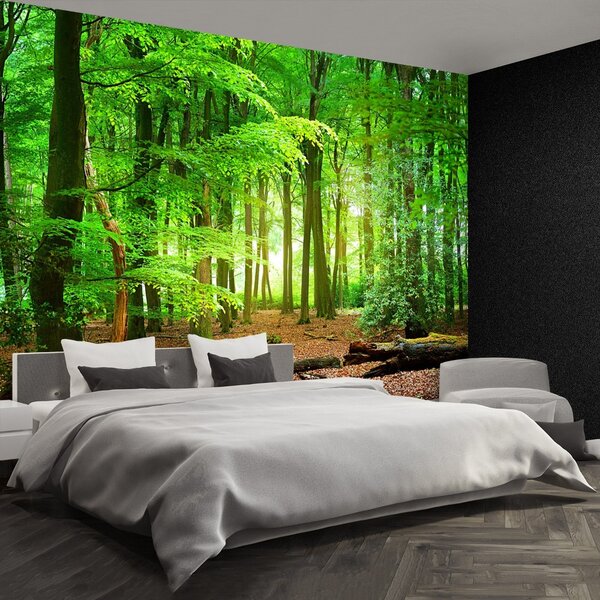 Fototapeta Vliesová Jarní les 104x70 cm