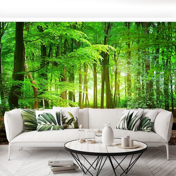 Fototapeta Vliesová Jarní les 104x70 cm