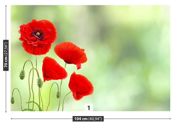 Fototapeta Vliesová Červené vlčie maky 104x70 cm