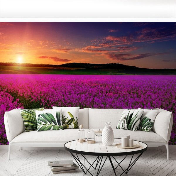 Fototapeta Vliesová Ružová lúka 104x70 cm