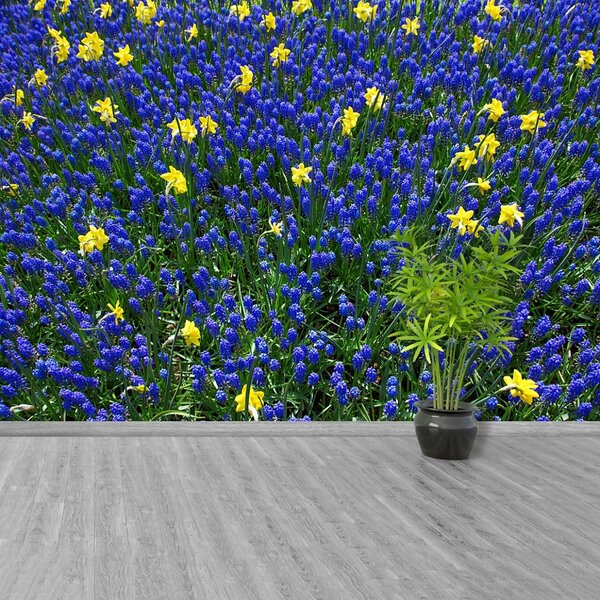 Fototapeta Vliesová Vlčí kvety 104x70 cm