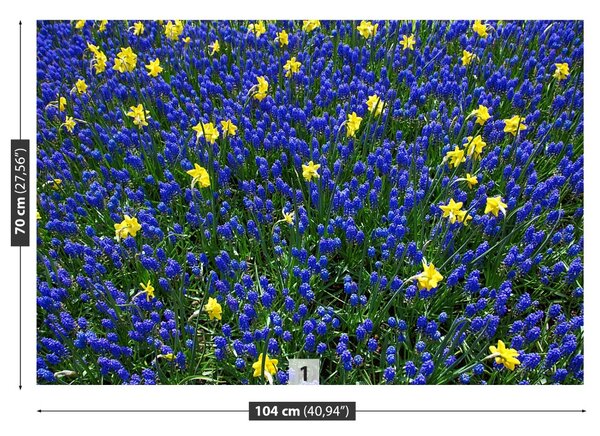 Fototapeta Vliesová Vlčí kvety 104x70 cm