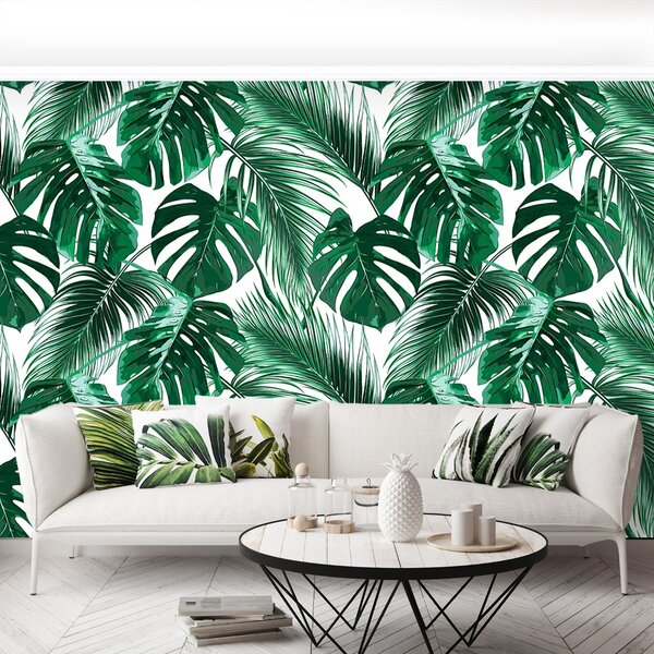 Fototapeta Vliesová Monstera deravá 104x70 cm
