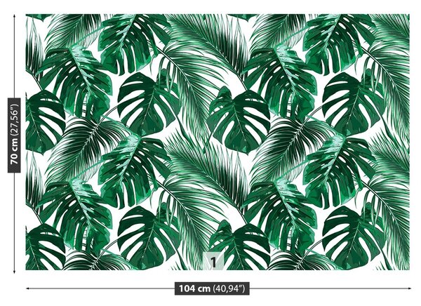 Fototapeta Vliesová Monstera deravá 104x70 cm