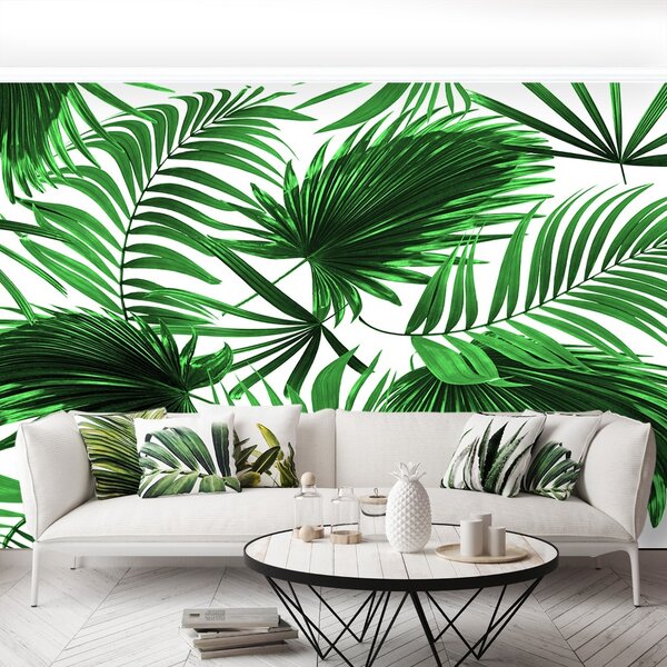 Fototapeta Vliesová Palmové listy 104x70 cm