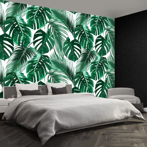 Fototapeta Vliesová Monstera deravá 104x70 cm