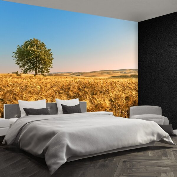 Fototapeta Vliesová Obilné polia 104x70 cm