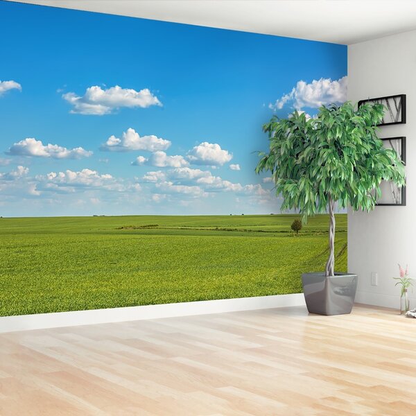 Fototapeta Vliesová Lúka neba 104x70 cm