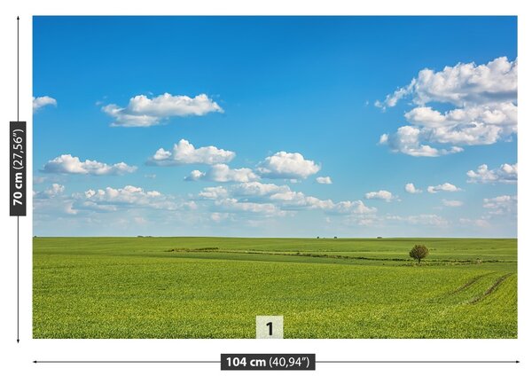 Fototapeta Vliesová Lúka neba 104x70 cm