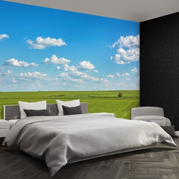 Fototapeta Vliesová Lúka neba 104x70 cm