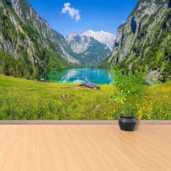 Fototapeta Vliesová Obersee königssee 104x70 cm